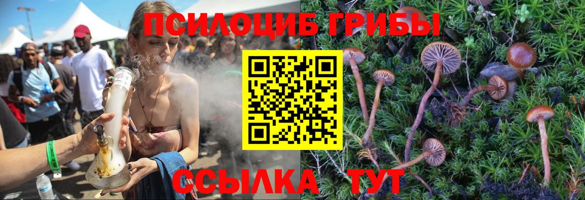 Северск  Галлюциногенные грибы мухоморы  Галлюциногенные грибы ЛСД  где продают   Вход с VPN 